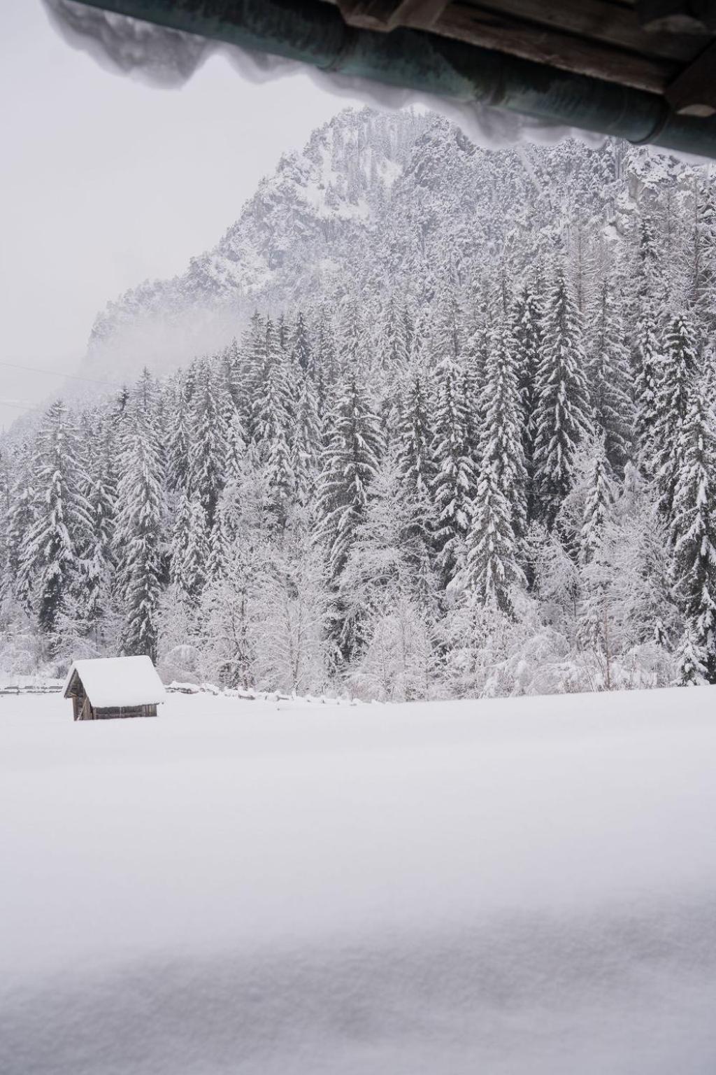 Fruehstueckspension Auer - Haus Kargl Schladming Ngoại thất bức ảnh